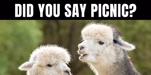 Ladies of LOVE picnic 