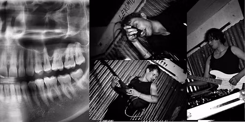 ANTON + LE CHAT VAMPIRE