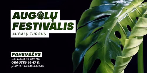 Augal\u0173 festivalis Panev\u0117\u017eyje \u2013 gegu\u017e\u0117s 16\u201317 d.