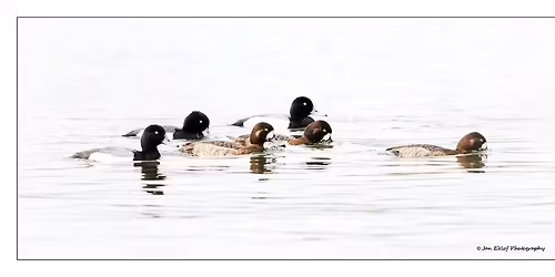 Nature Photographers of the Pacific Northwest - Fall Meeting