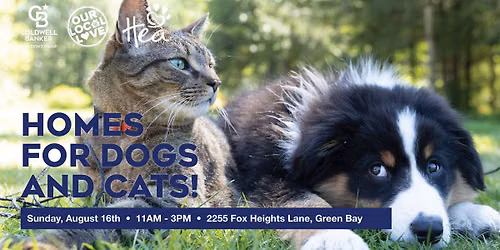 Homes for Dogs & Cats!