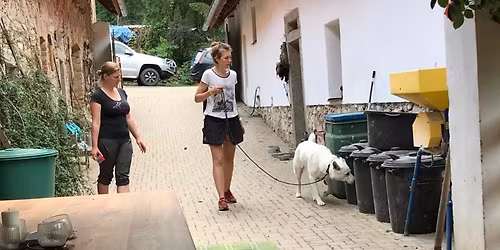 Noseworkov\u00e9 \u010duch\u00e1n\u00ed s Ani\u010dkou Mal\u00ed\u0159ovou a Obedience s Luckou Kl\u00edmovou Plze\u0148sko