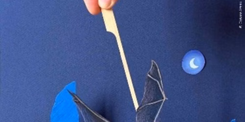 Atelier d'\u00e9t\u00e9 : th\u00e9\u00e2tre de papier, les chauves-souris en sc\u00e8ne !