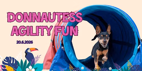 Donnautess Agility Fun