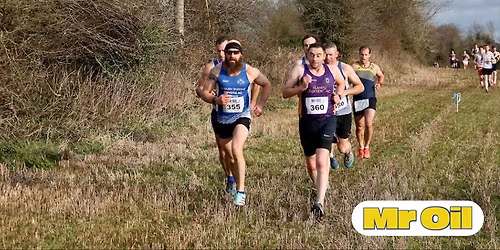 Mr Oil Wexford Senior Cross Country