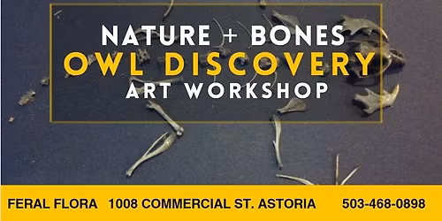 Owl Discovery Art Workshop