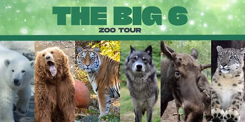 The Big 6 Alaska Zoo Tour: Icons of the North