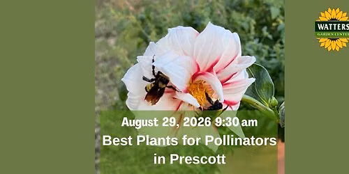 Free Garden Class: Best Plants for Pollinators in Prescott