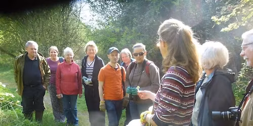 Summer Foraging With Wild Tapas @ Ouzel Valley Water Meadows