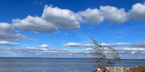 Efter\u00e5rsvandring p\u00e5 smukke Reers\u00f8