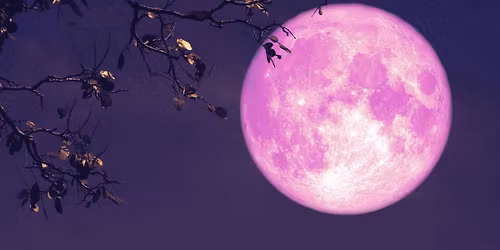 Flower Full Moon Meditation Ceremony $40