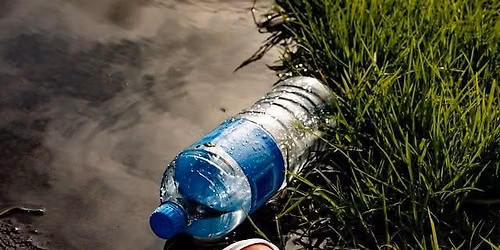 WORLD CLEANUP DAY in M\u0100NGERE BRIDGE