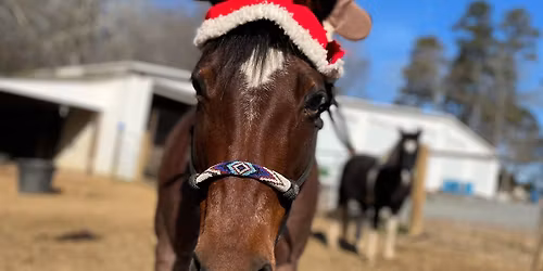 Christmas Costume Contest\/Play Day