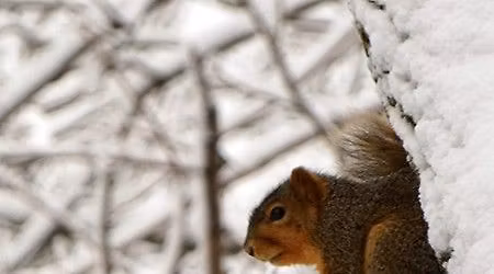 The Power of Silence: Mini Silent Directed Retreat