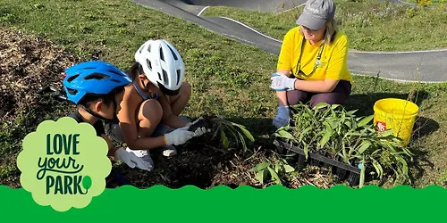 Community planting events in Waterloo