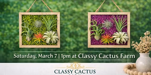 Moss & Air Botanical Living Frame Workshop