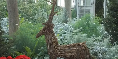 Indoor Christmas Mini Session Birdhaven Greenhouse