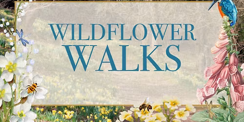 Wildflower Walks
