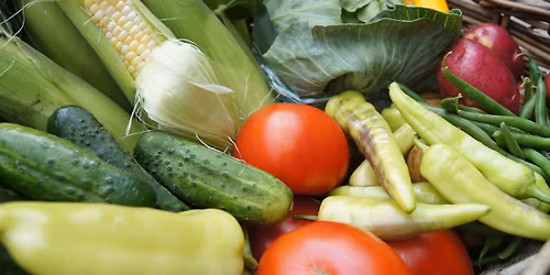 General Vegetable Gardening 101