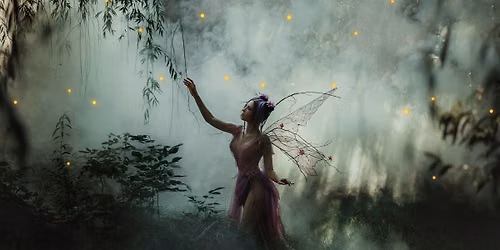 A Midsummer Night's Ball