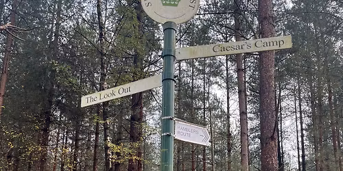 Bracknell Branch Christmas Bimble