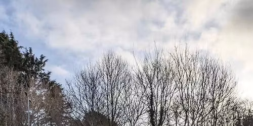 200th Greenfield Valley parkrun!