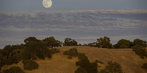 Latino Conservation Evening Walk and Moon Viewing