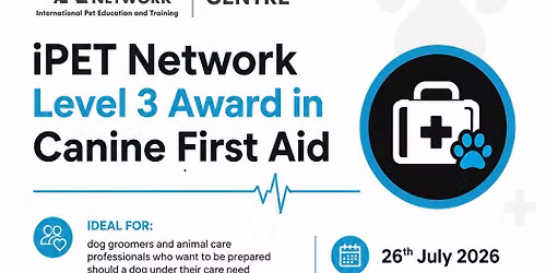 Canine First Aid Qualification Day