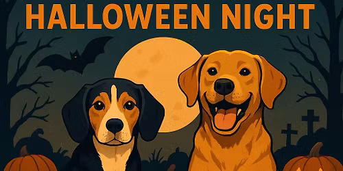 All Treats No Tricks for Dogs