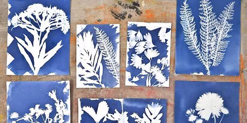  Cyanotype Printmaking Workshop with Alan Li in Toronto's High Park