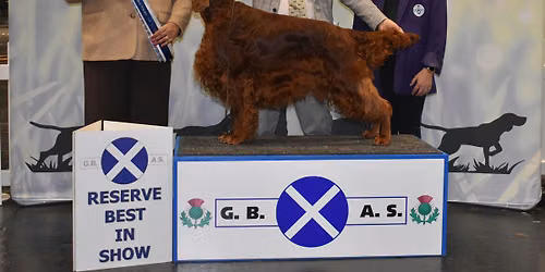 Gundog Breeds Association of Scotland - Championship Show 2026