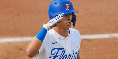 Parking Florida A&M Rattlers at Florida Gators Baseball