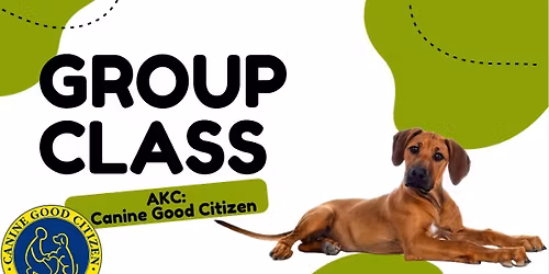 AKC: Canine Good Citizen 12\/13
