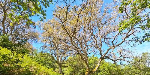 Trilhos de Venda do Pinheiro: Serra da Atalaia e Monte Leite