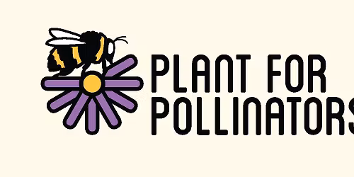 Plant for Pollinators