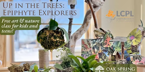 Epiphyte Explorers: Art and Nature Class for Kids & Teens