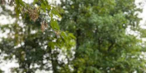 trening terapeutyczny ODDECH I UCIEL\u015aNIENIE Agnieszka Nawrot