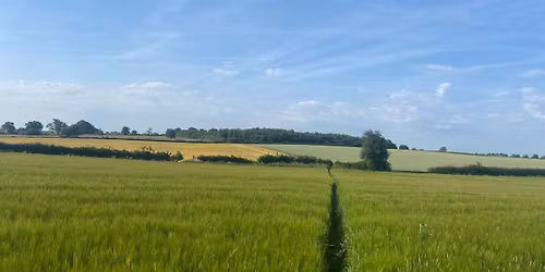 May Evening Walk - Whixley - 5 miles\/8km  