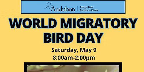 World Migratory Bird Day