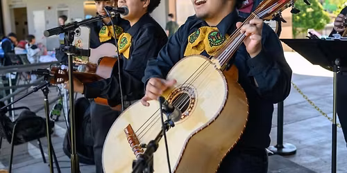 Mariachi Night