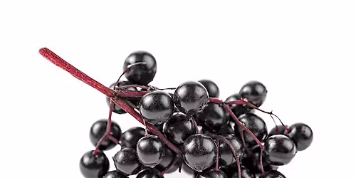 Lorain County Metroparks Spring Market at Miller Nature Preserve