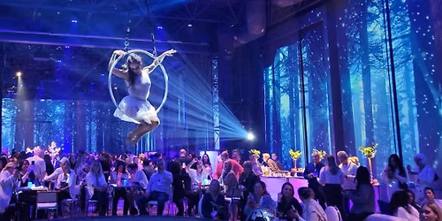 Cirque Eloize at Zellerbach Theatre
