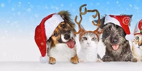 Phyllis Blumel Memorial Christmas Bazaar