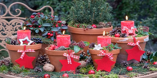 Community Gardening Club with Jason