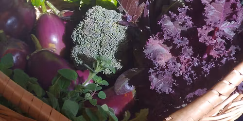 Monthly Meeting of the Umatilla Garden Club