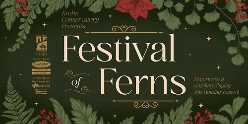 Festival of Ferns
