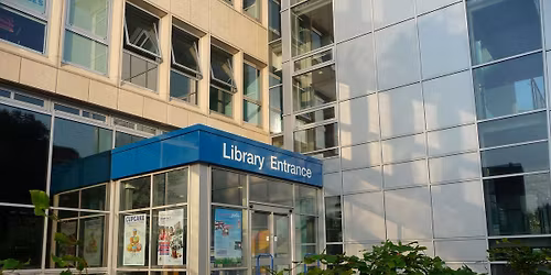 There’s a Poonami at Christmas! 