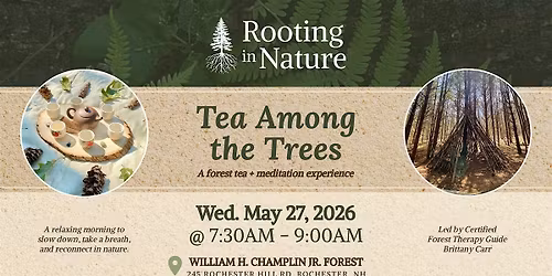 Tea Among the Trees with Rooting in Nature