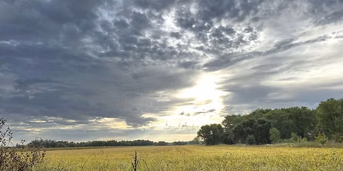 Explore the History of the Cosumnes River on a Guided Walk