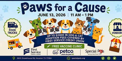 Paws for a Cause